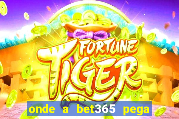 onde a bet365 pega as estatisticas